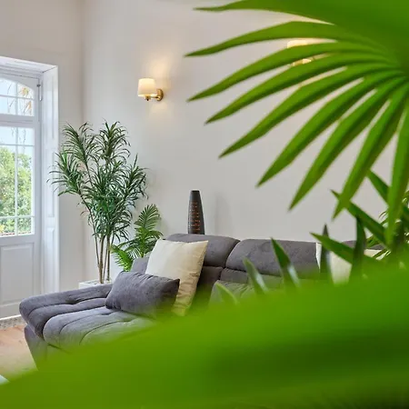 Luna Rossa By Homie Apartment *